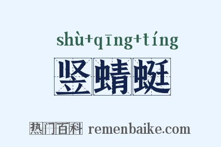 竖蜻蜓是什么意思的图片